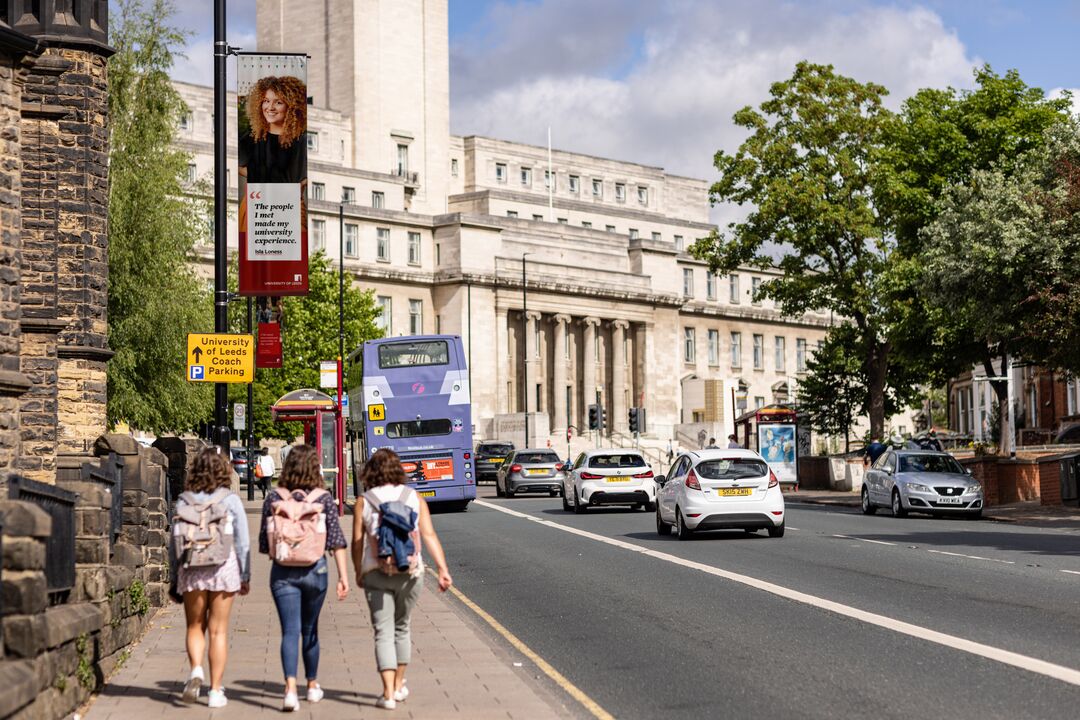 Understanding the Influence of Public Transport Perceptions on the Adoption of Demand Responsive Transport Services in the UK: A Case Study
